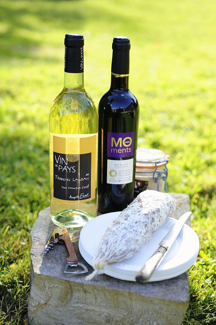 Weißwein, Rotwein und Salami für das Picknick