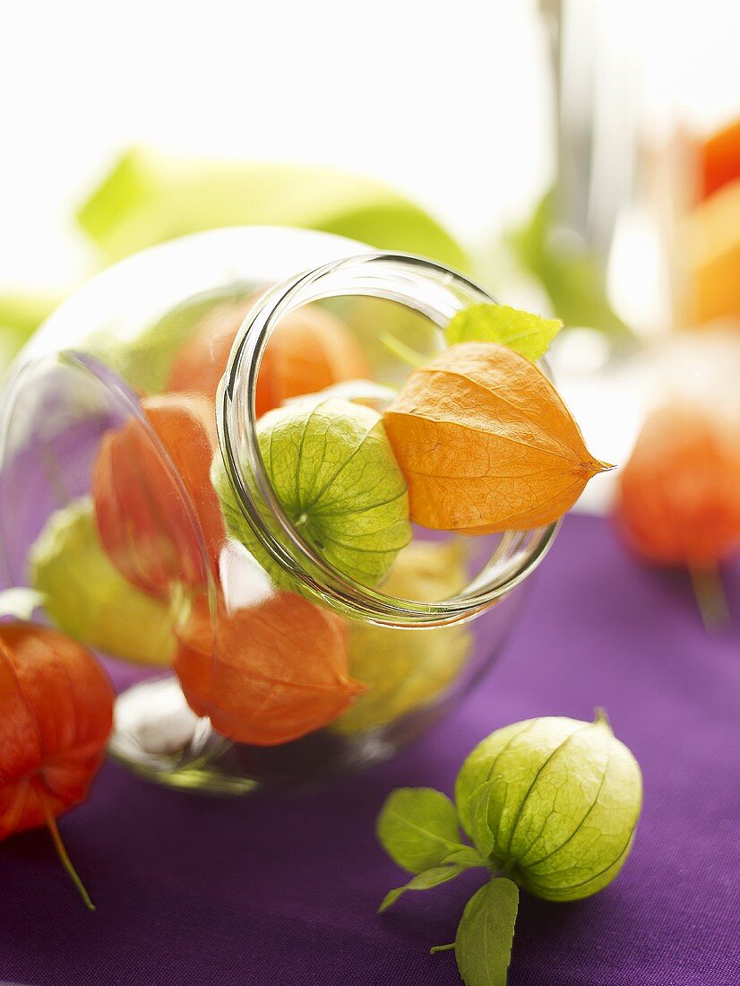 Physalis im Vorratsglas