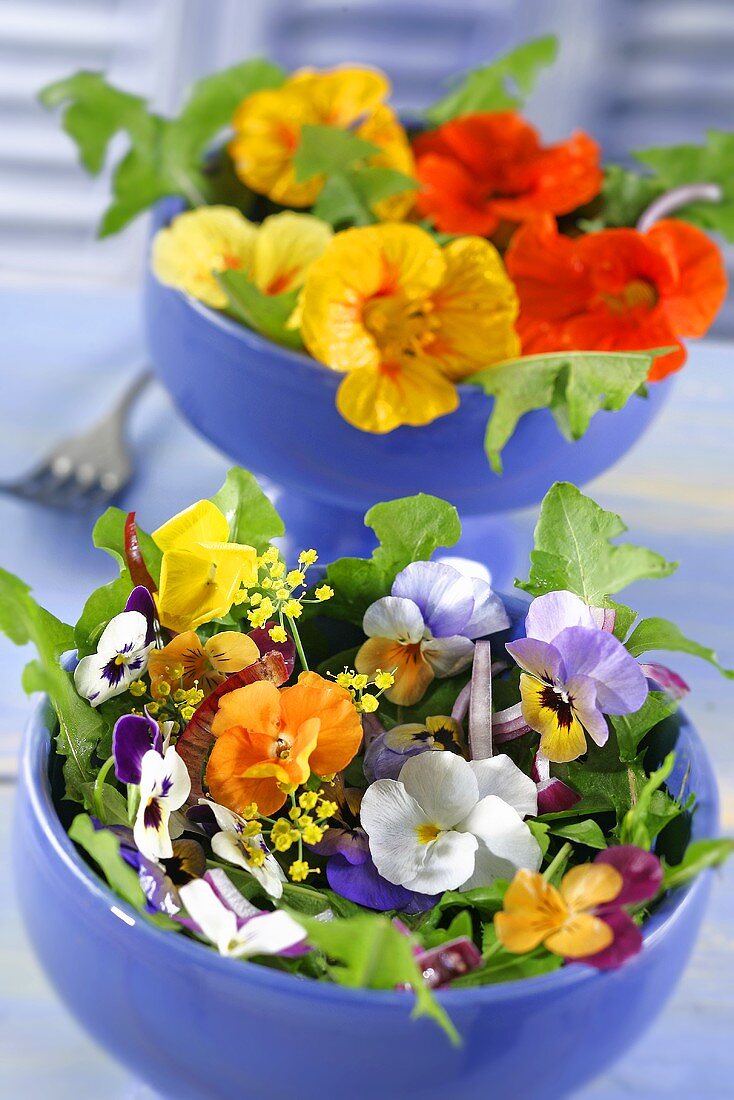 An edible flower salad with dandelions