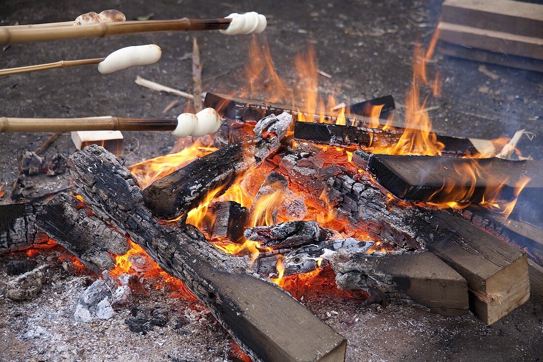 Stick bread over a campfire