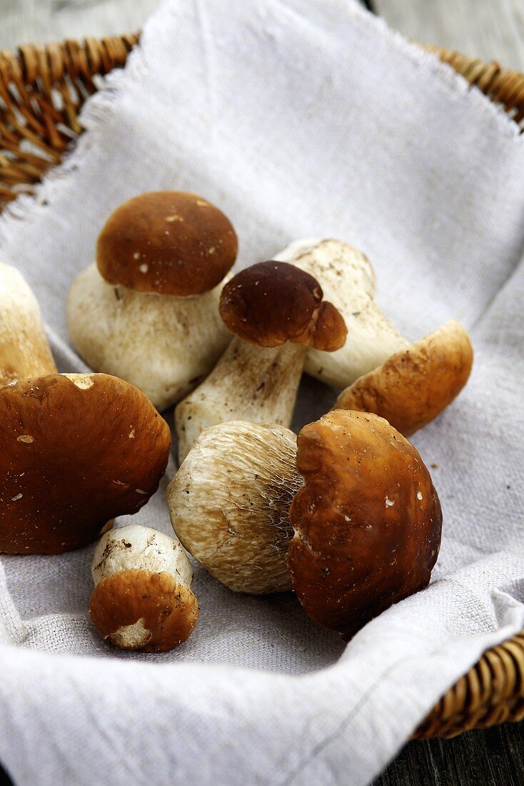 Fresh porcini mushrooms on a linen cloth in a basket