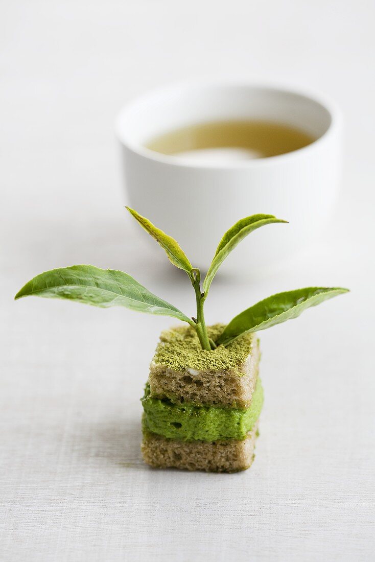 Green tea cake with chestnuts and a tea leaf
