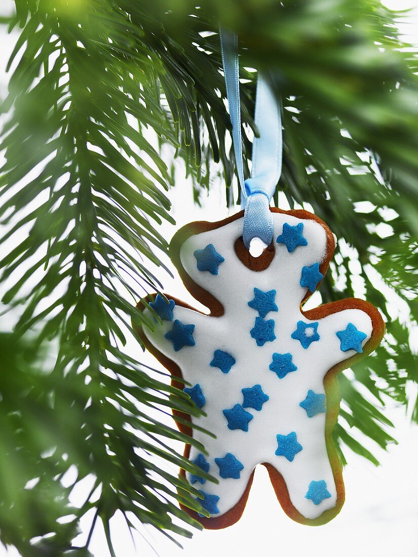 Pine sprig hung with a gingerbread man (detail)