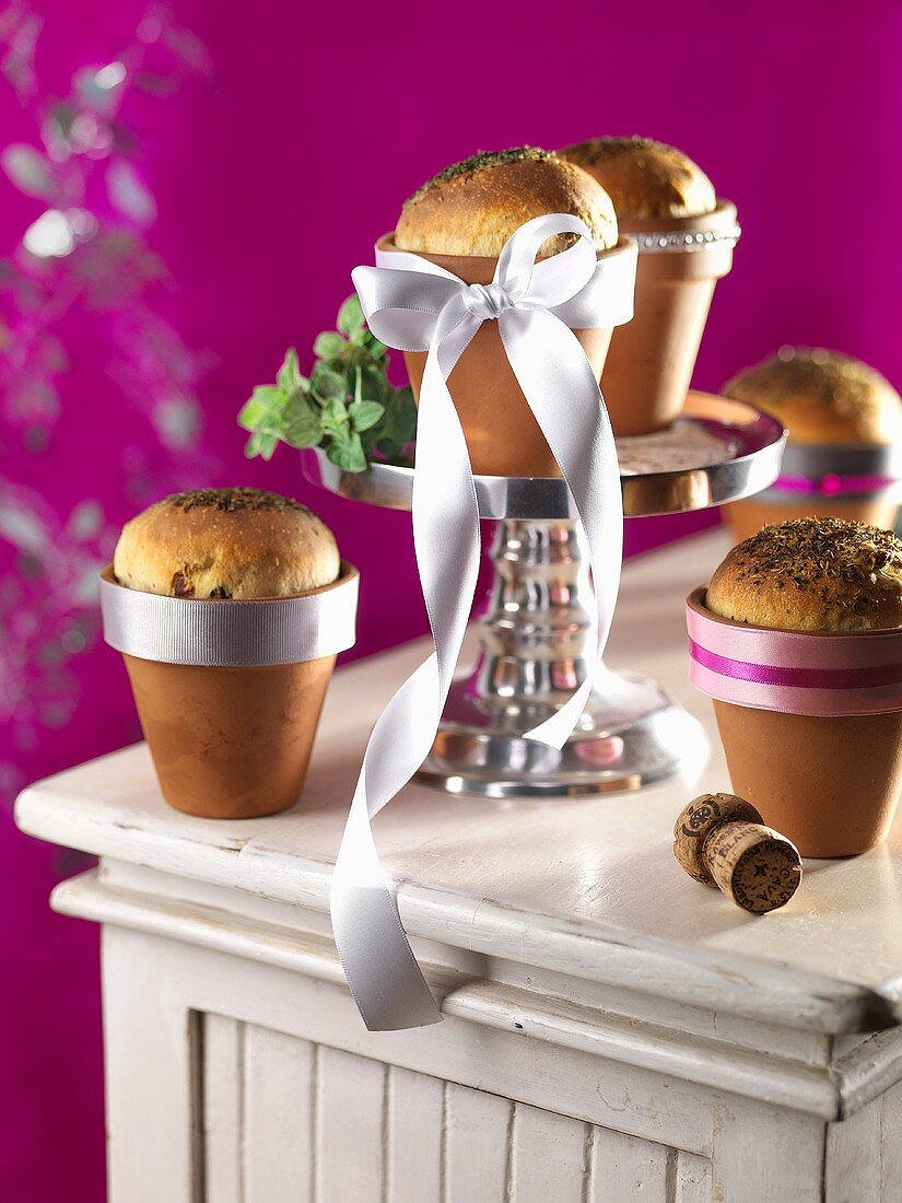 Olive rolls with oregano in flower pots