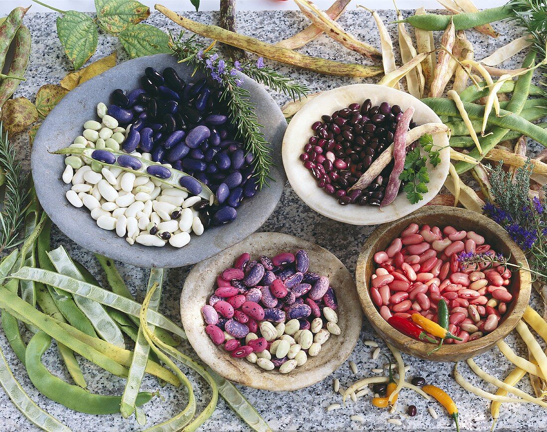 An arrangement of various beans