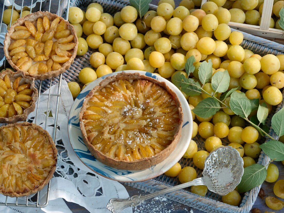 Mirabelle tartlets and mirabelle cake
