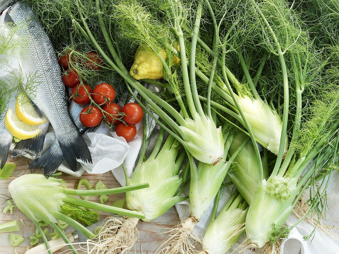 An arrangement of fennel, fish and tomatoes
