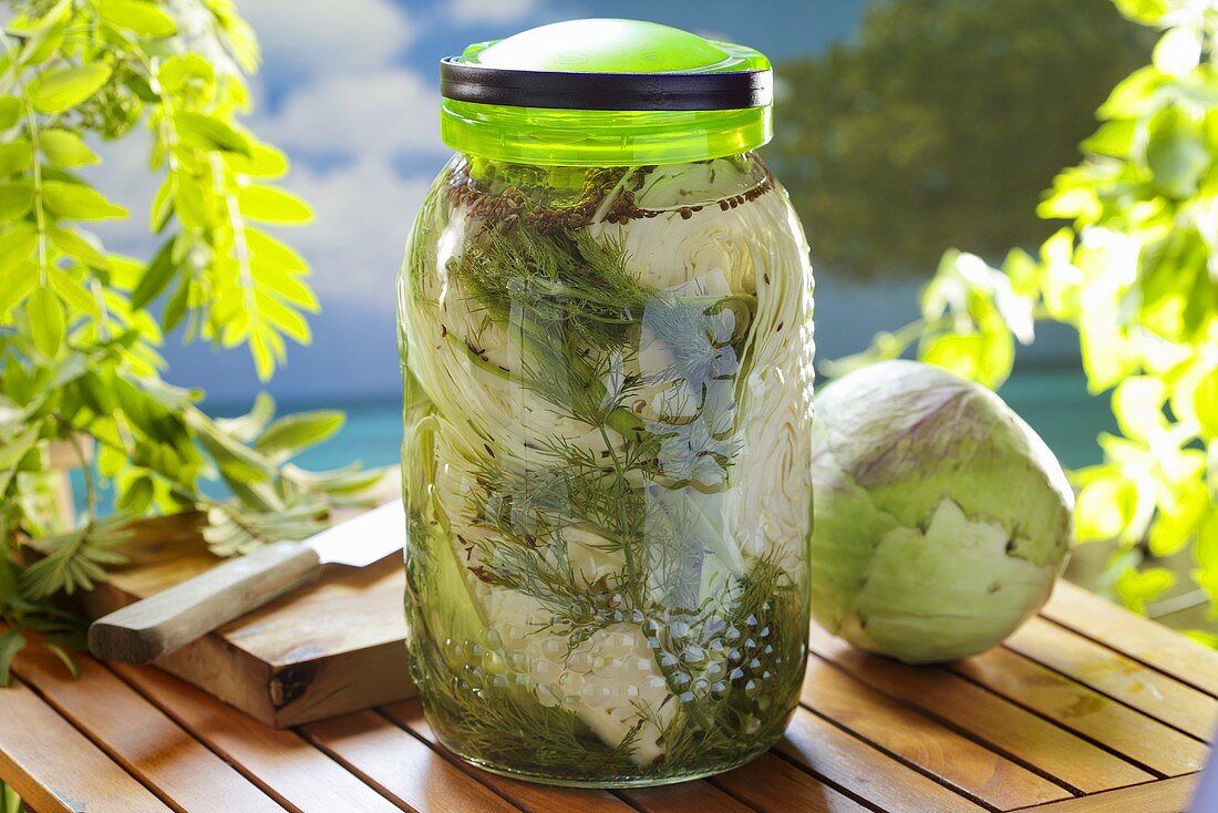 Pickled white cabbage with dill