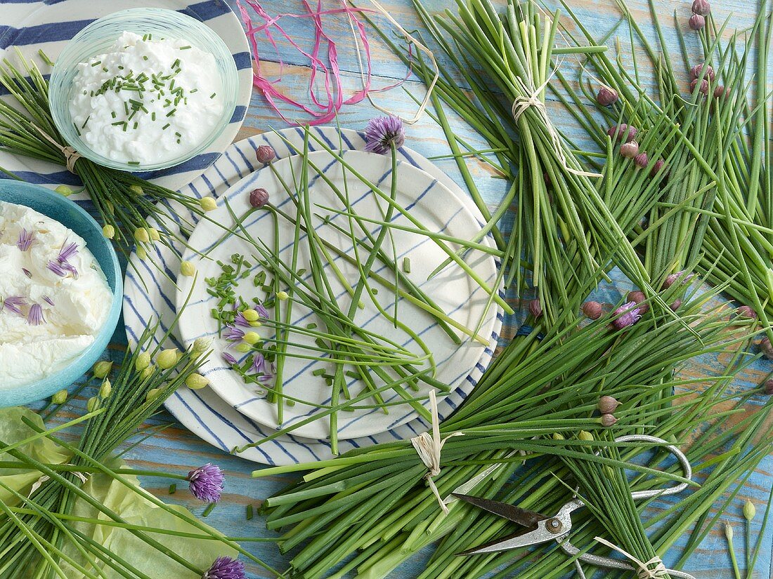 An arrangement of chives and quark