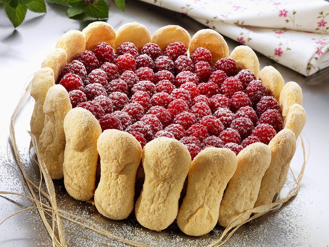 Raspberry cake with sponge fingers