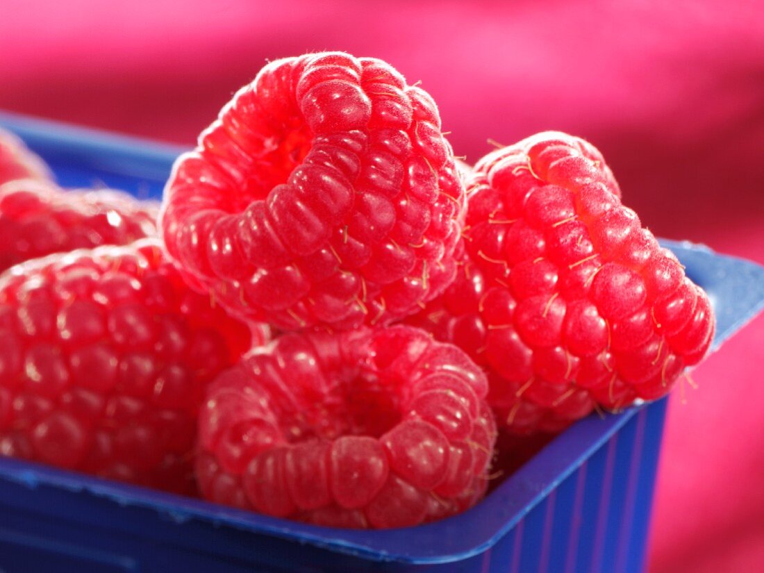 Raspberries in a plastic container