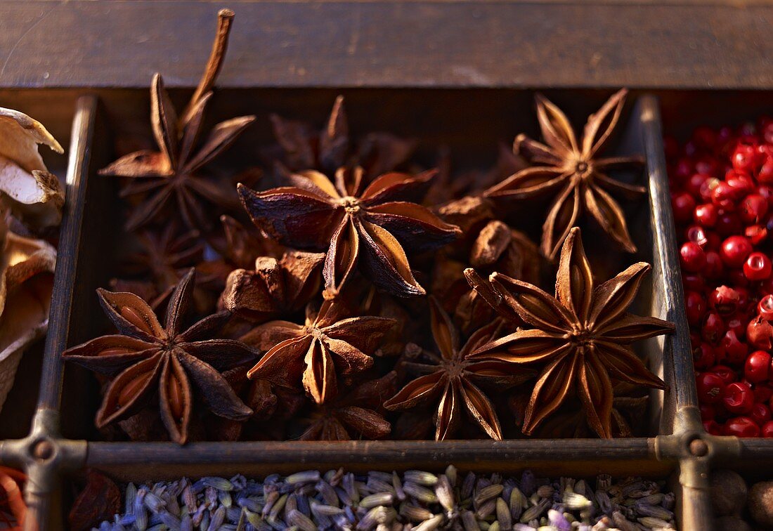 Star anise in a seedling tray