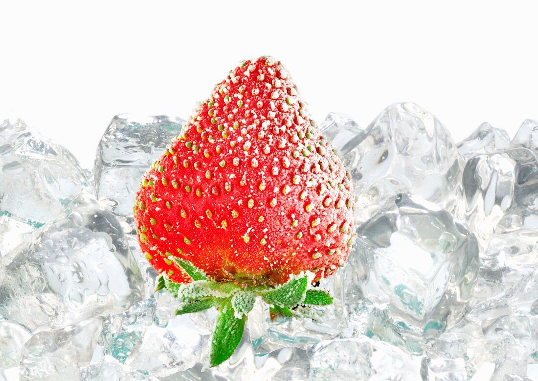 Gefrorene Erdbeere auf Eiswürfeln