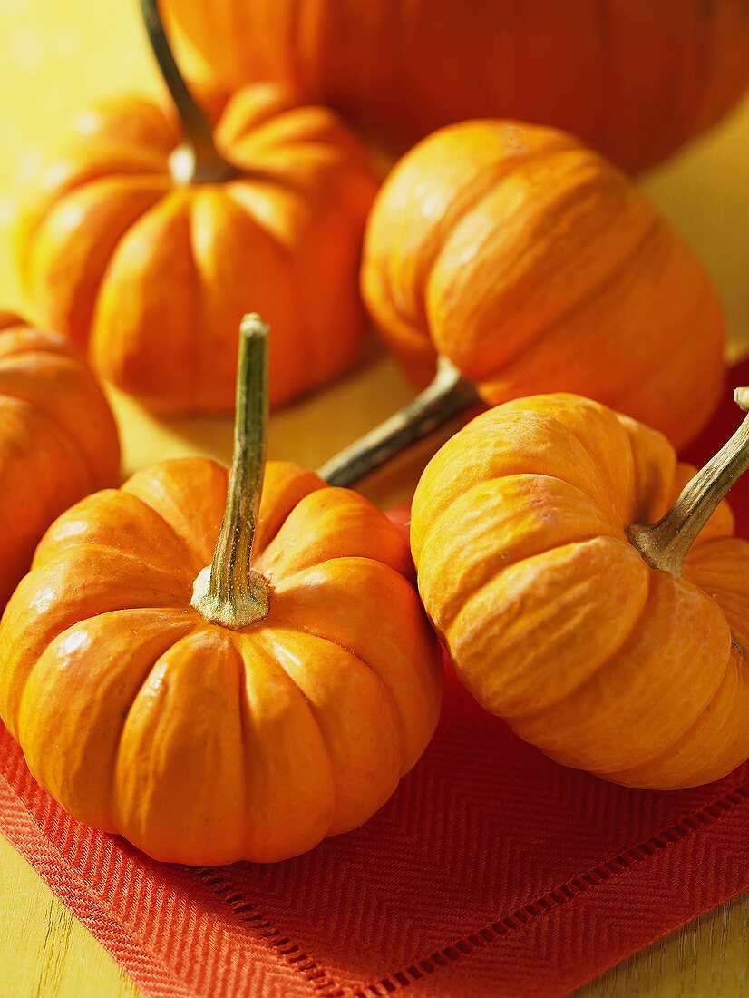 Small orange pumpkins