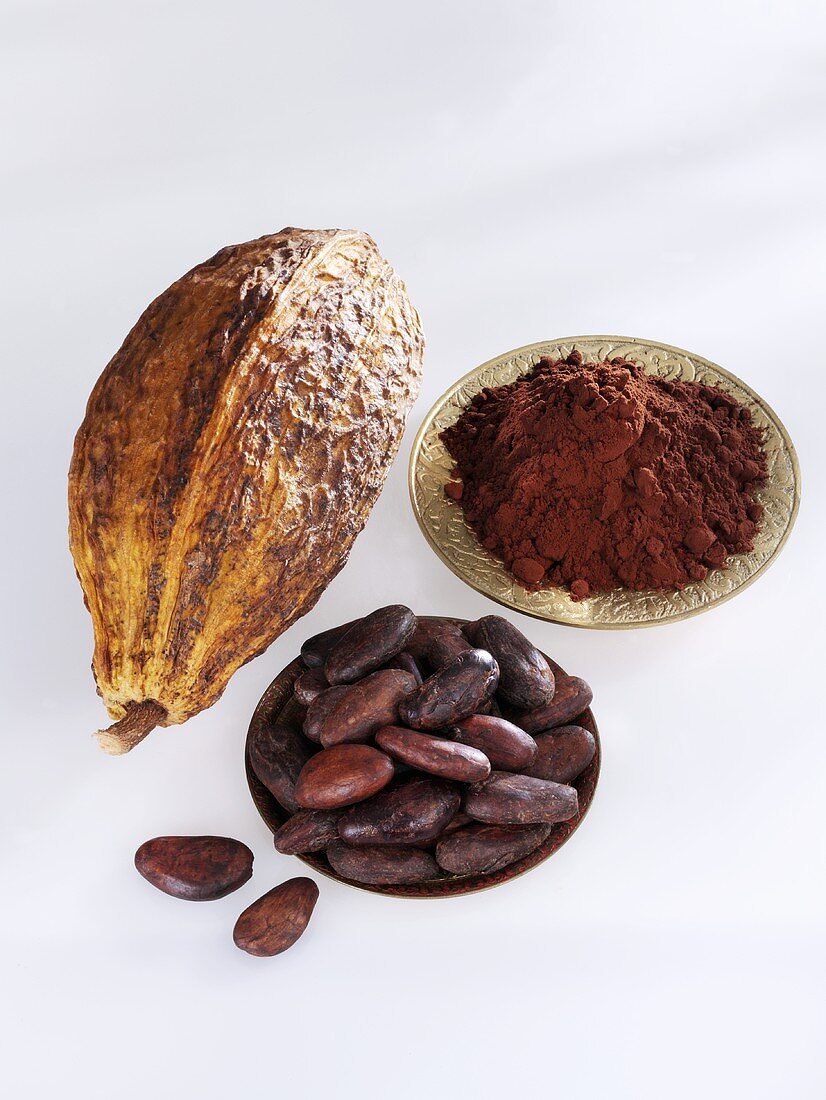 Kakaobohnen, Kakaofrucht und Kakaopulver
