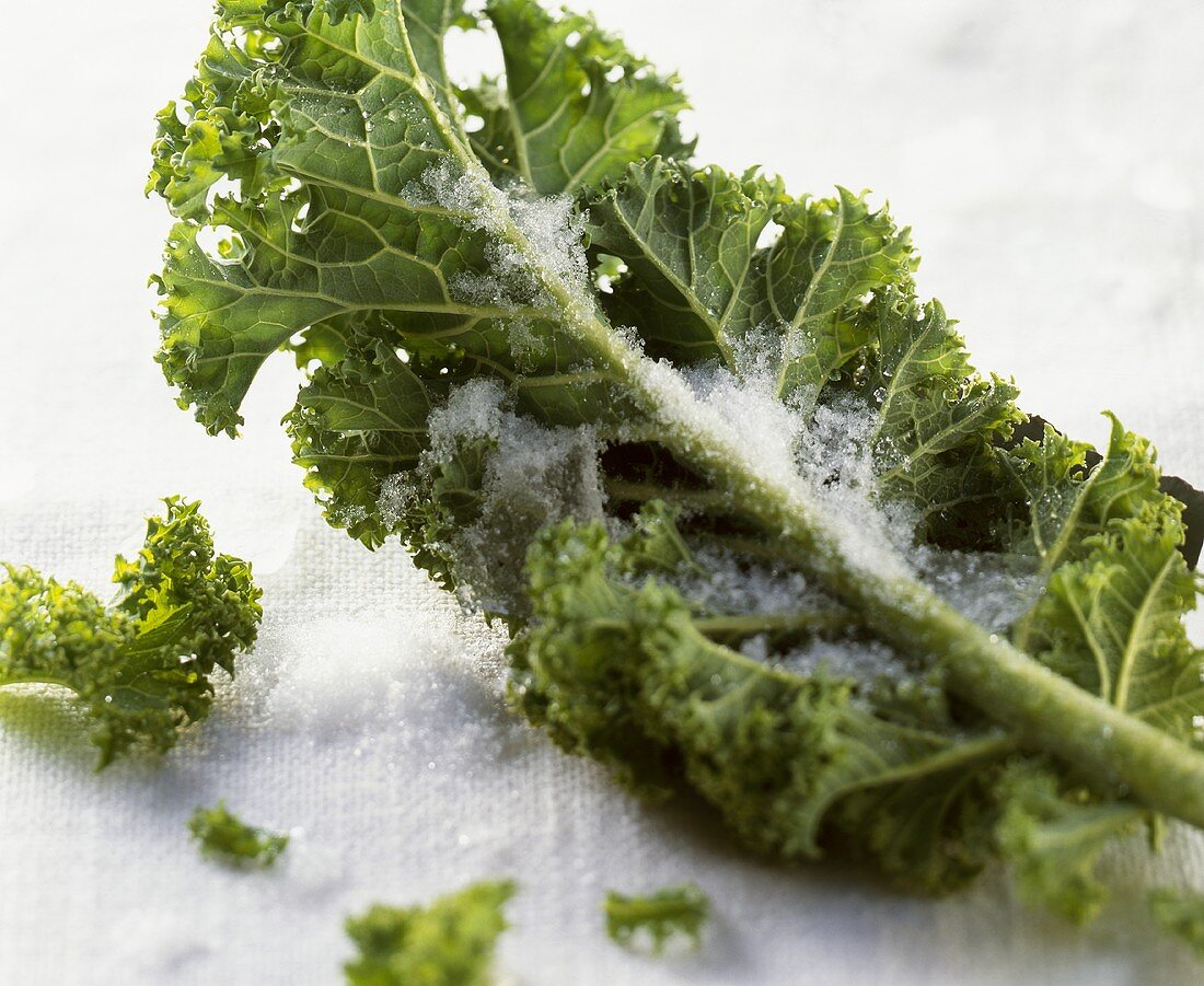 A kale leaf with hoar frost