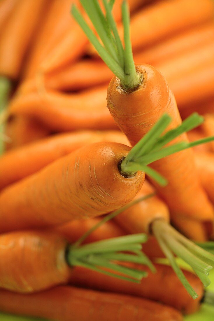 Carrots, full-frame