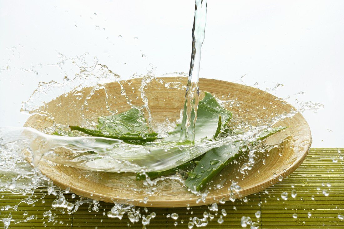 Water running over Aloe vera leaves