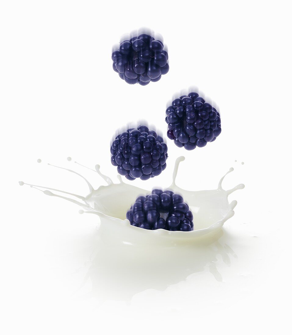 Blackberries falling into milk