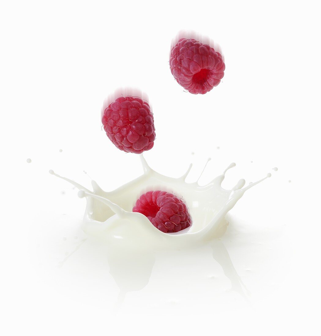 Himbeeren fallen in Milch