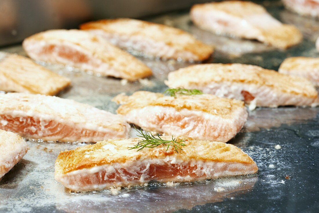 Seared salmon fillets