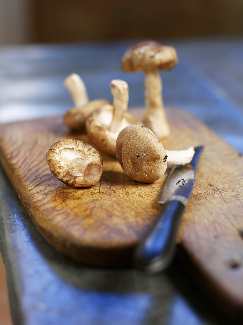 Fresh mushrooms on old chopping board