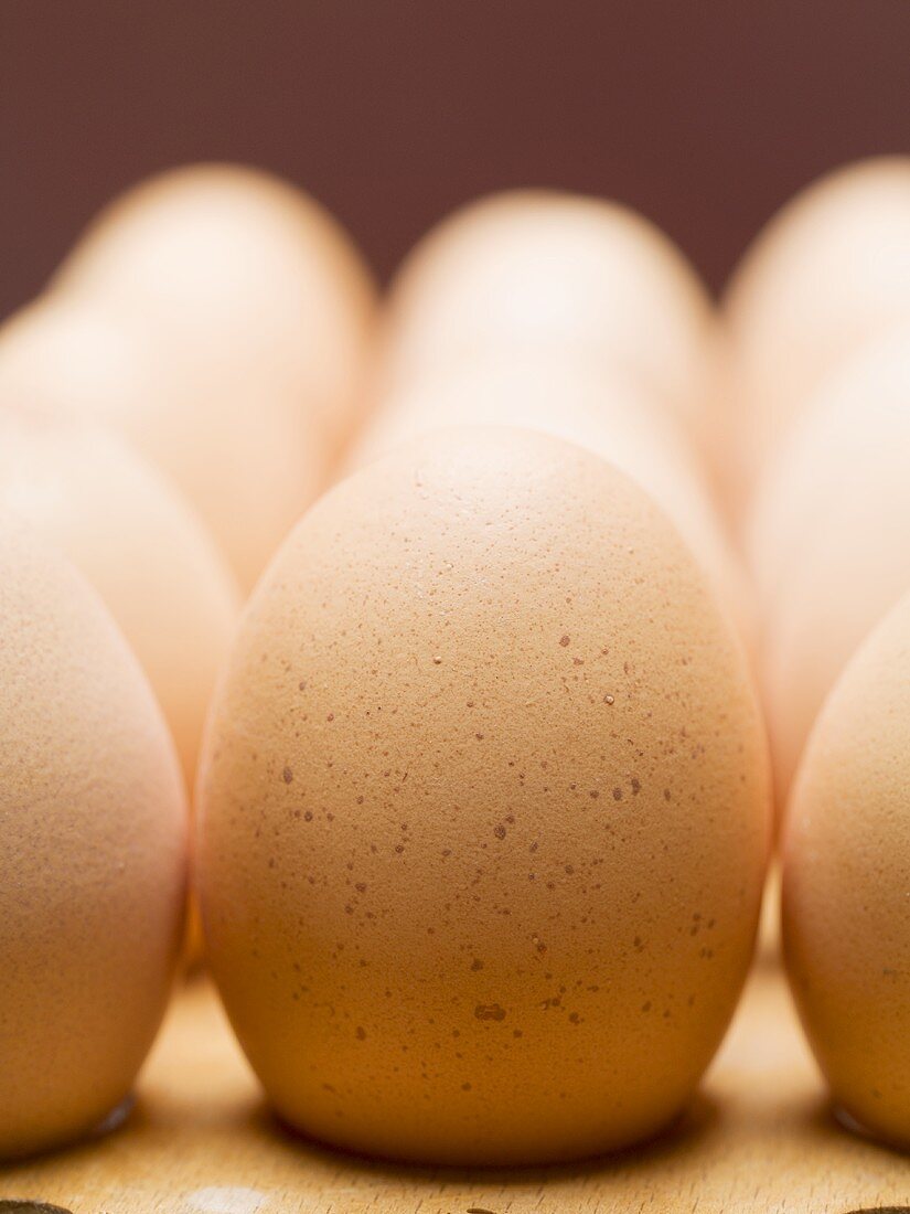 Fresh brown eggs (close-up)