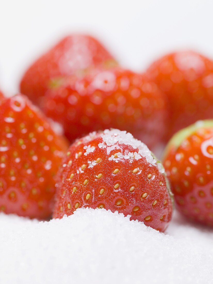 Mehrere reife Erdbeeren mit Zucker