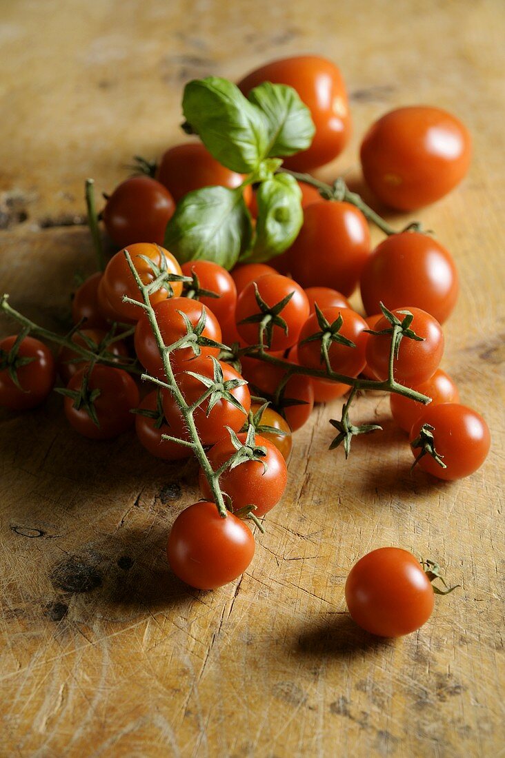 Tomatoes and basil on wooden background