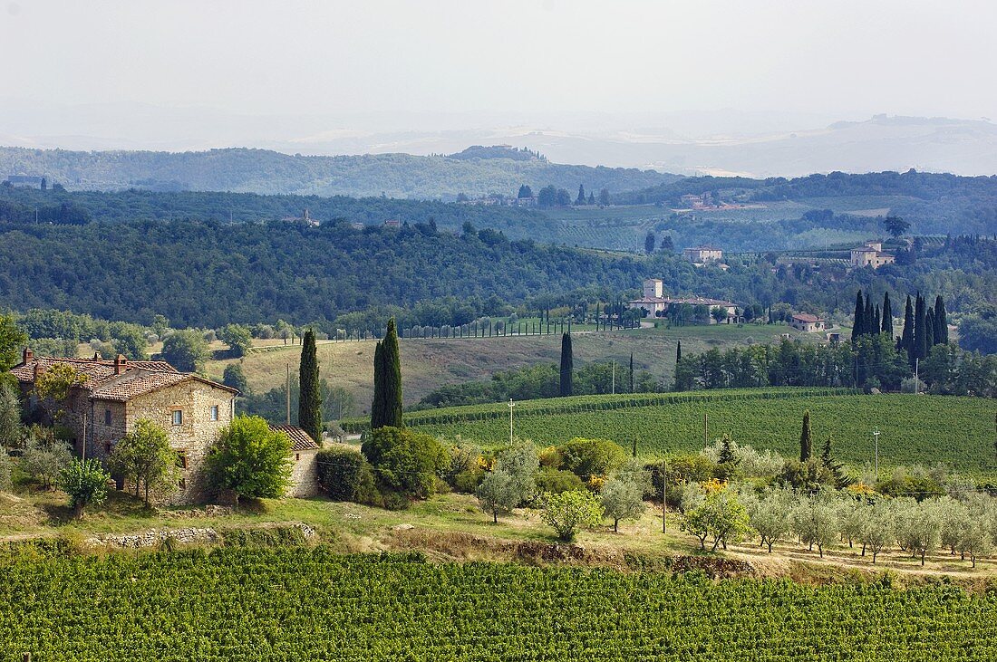 Landschaft mit Podere, Monti, Castelnuovo Beradenga, Toskana, Italien