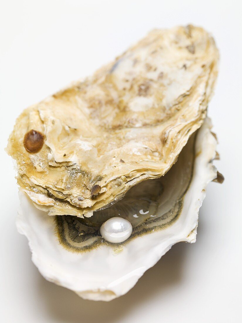 Frische Auster mit Perle
