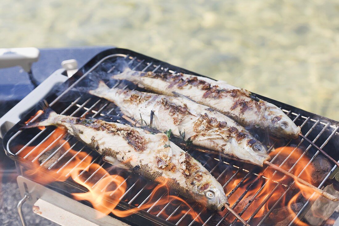 Steckerlfische (skewered fish) on barbecue