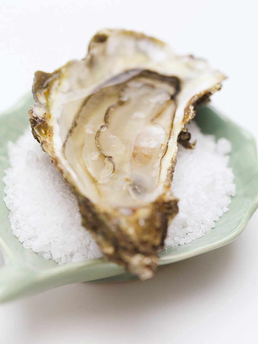 Half of a fresh oyster on coarse salt