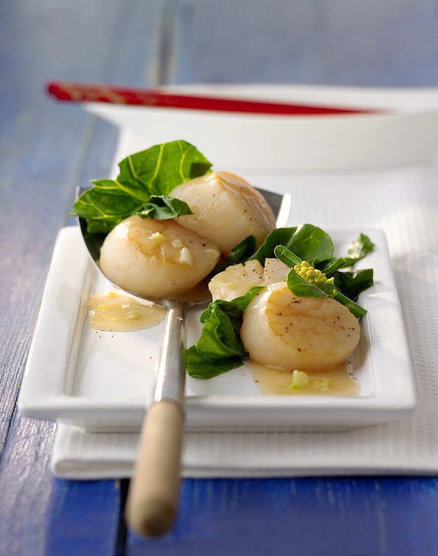 Gebratene Jakobsmuscheln mit Gai Lan