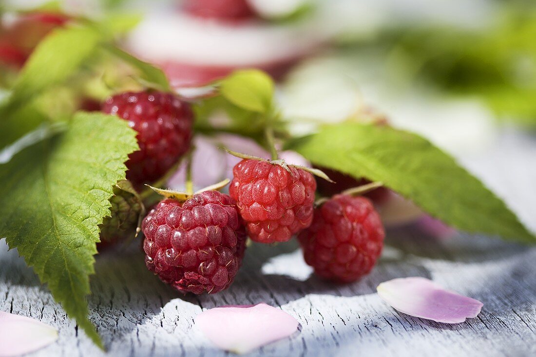 Fresh raspberries with leaves