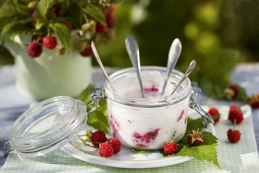 Raspberry yoghurt in preserving jar with spoons in garden