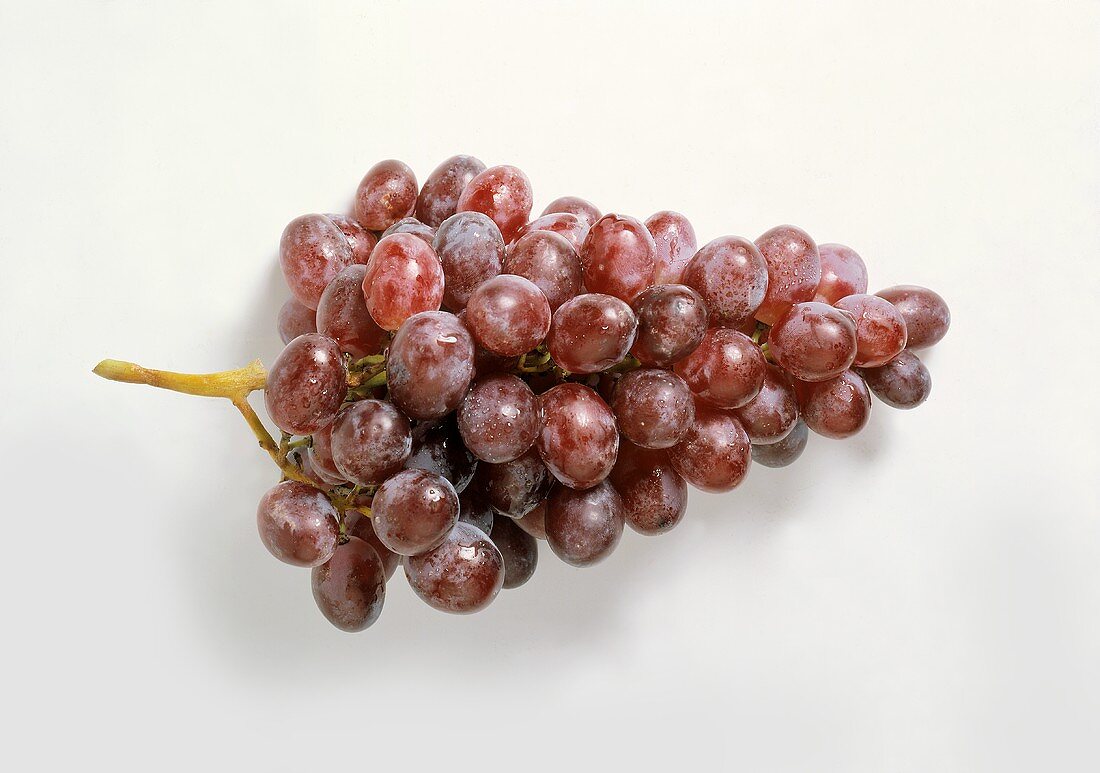 One Bunch of Cardinal Grapes