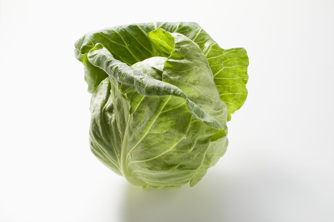 Cabbage