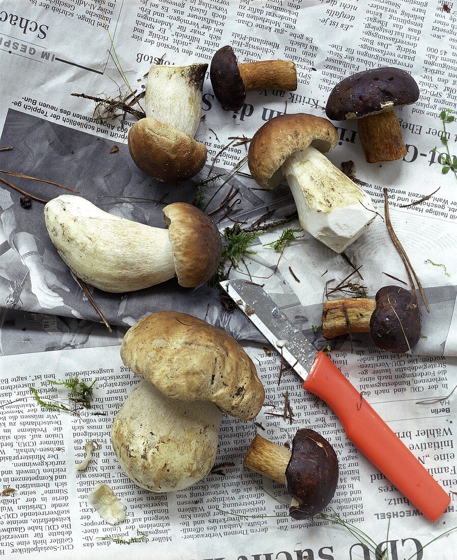 Ceps on newspaper