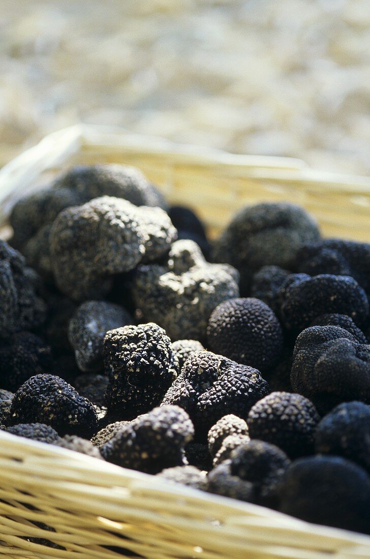 Fresh truffles in a basket