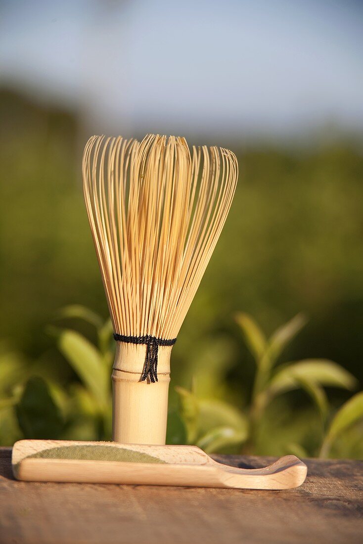 Bambus Teebesen für Matcha-Pulver