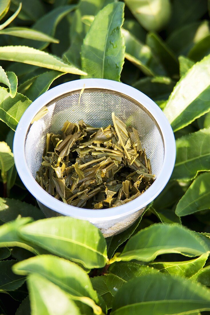 A sieve with green tea leaves