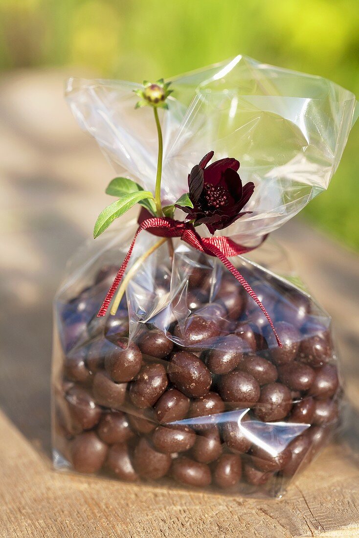 Chocolate beans in a cellophane bag