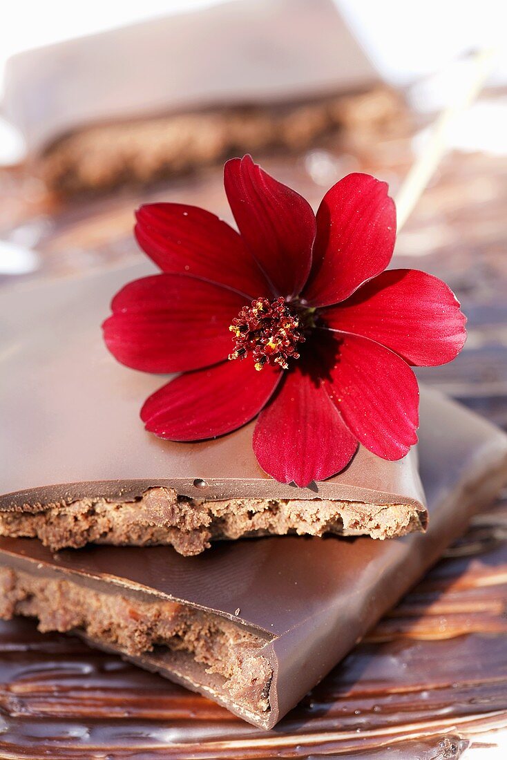 Schokolade mit Schokoladenblume