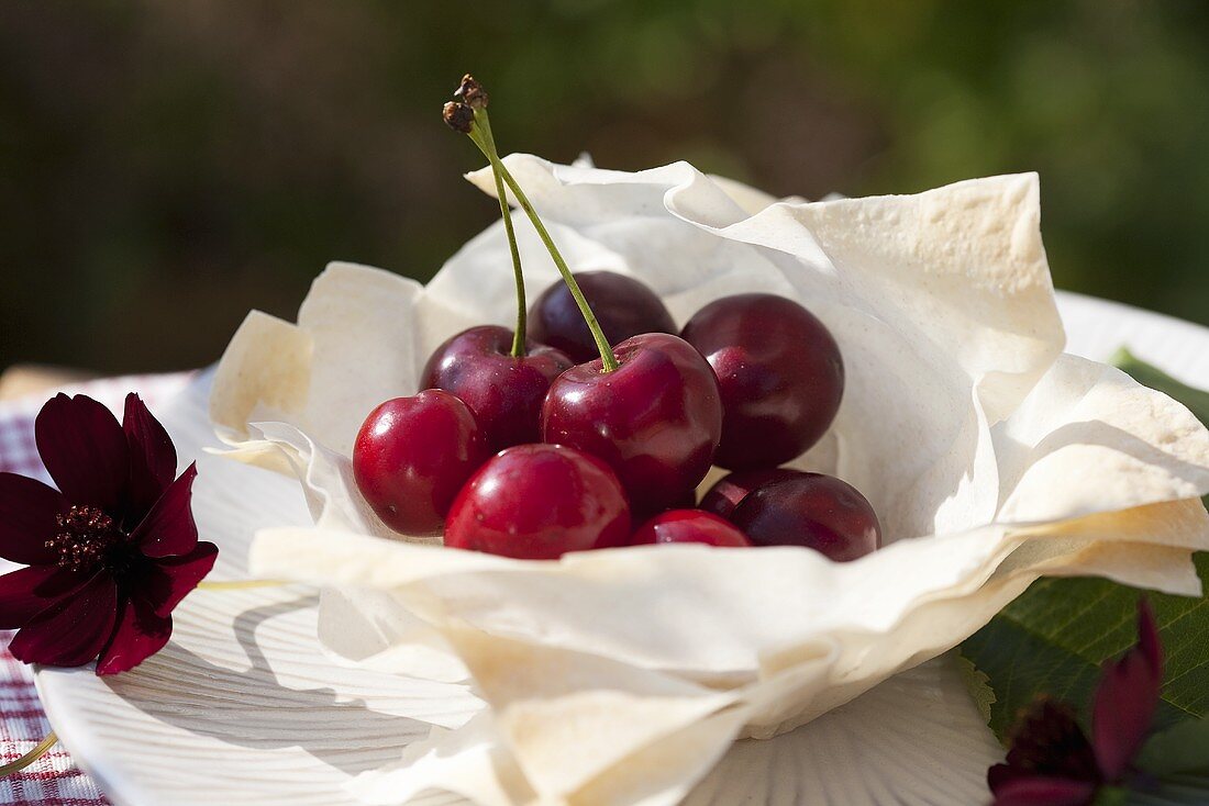 Cherries in a puff pastry dish