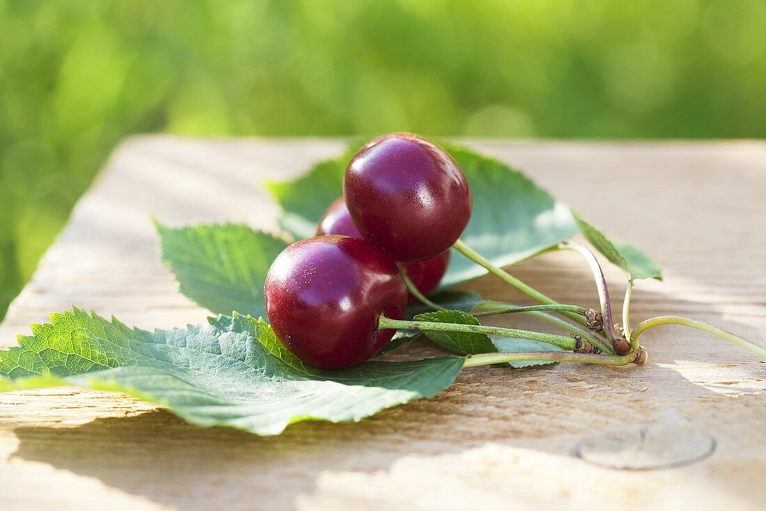 Cherries with leaves on a wooden table