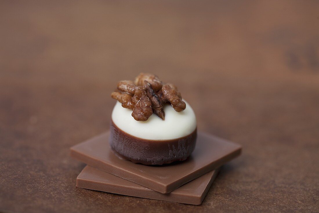 Chocolate praline with walnuts on squares of chocolate