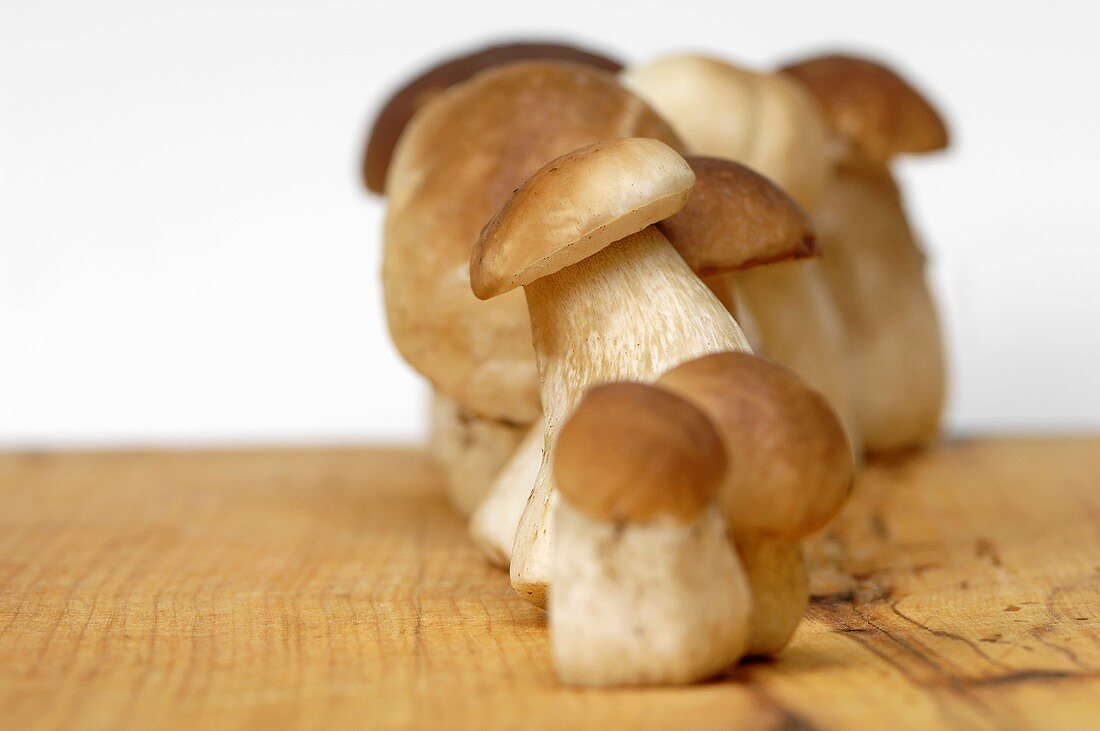 Fresh porcini mushrooms