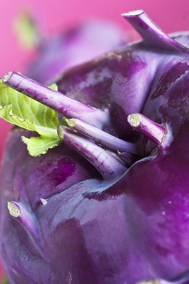 Ein Kohlrabi (Close Up)