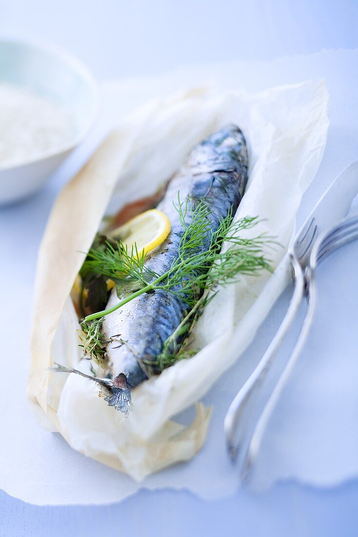 A mackerel with dill in parchment paper